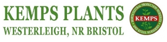 Kemps Plants